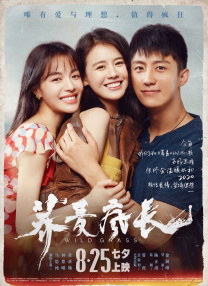 综合爱爱